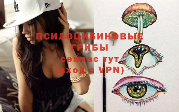 PSILOCYBIN Бугульма